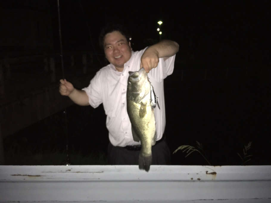 カローラ佐賀釣りクラブ カローラ佐賀釣りクラブ